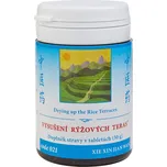 TCM Herbs Vysušení rýžových teras 100…
