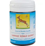 TCM Herbs Ladnost štíhlé gazely 100 tbl.