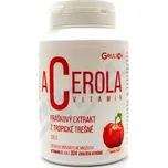 Acerola vitamin standardizovaný prášek 100g