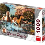 Dino Secret Collection Koně 1000 dílků