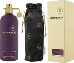 Montale Paris Dark Aoud U EDP 100 ml