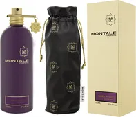 Montale Paris Dark Aoud U EDP 100 ml