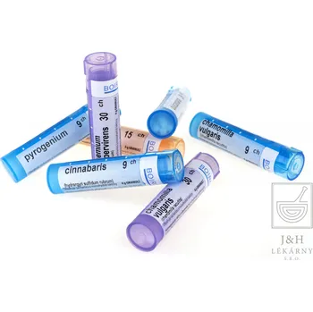 Homeopatikum Pollens por.gra.4g 5CH