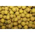Boilies LK Baits boilies ReStart 20 mm ice vanilla 5 kg