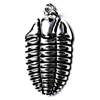 Přívěsek Stříbrný přívěšek s patinou trilobit, přívěsek ze stříbra ve tvaru trilobitu P 204