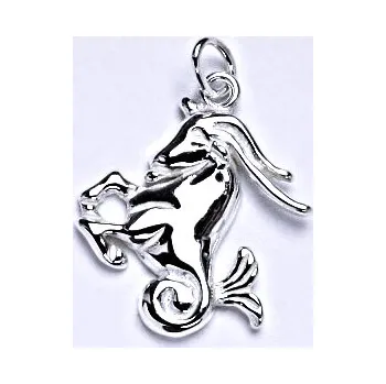 Přívěsek Stříbrný přívěsek,znamení zvěrokruhu kozoroh, P 982