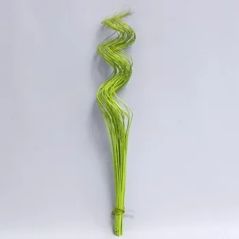 Zahradní dekorace Sušina proutí kroucené 40ksx60cm zelená (6569-450)