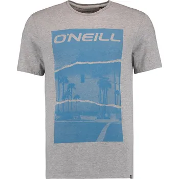 Pánské tričko O'Neill Lm Cali T-Shirt šedá