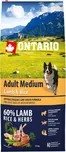 Ontario Adult Medium Lamb/Rice