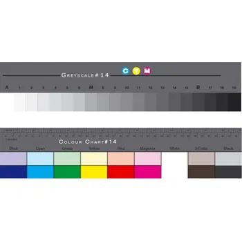 Expozimetr DANES PICTA šedá stupnice s barevnou tabulkou, velká