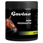 Gavino MSM + rozmarýn 500 g