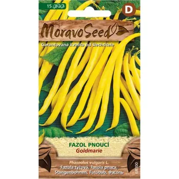 Semeno Nohel Garden Fazol Goldmarie