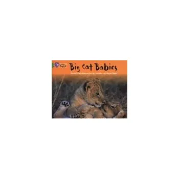 Populárně naučná literatura pro dospělé Big Cat Babies - Scott, Jonathan a Scott, Angela