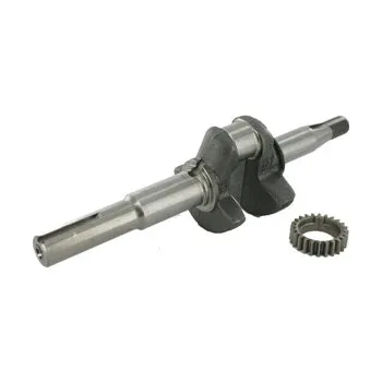 Kliková hřídel Kliková hřídel B&S Quantum 5,5 22mm dlouhá R47S 22/80