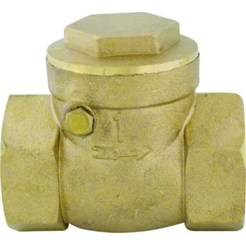 Příslušenství k čerpadlu Zpětná klapka mosazná do vodorovné polohy DN50 2"