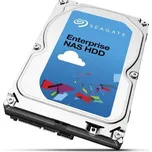 Seagate Enterprise 6TB (ST6000VN0001)