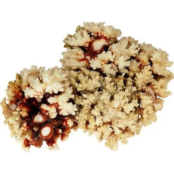 Dekorace do akvária Kámen houbovitý Reefsponge 1 kg S016 (Dekorace)