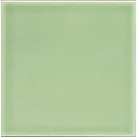 Modernista Liso PB C/C Verde Claro15x15
