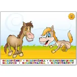 MFP Koníčci A5 omalovánky 