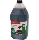Zdravý den Agáve sirup BIO/RAW 4050 ml