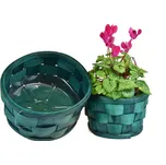 Vingo Sada 2 zelených obalů s PVC vložkou