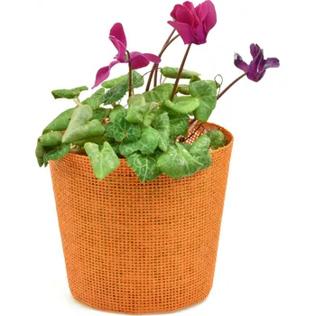 Květináč Vingo Květináč oranžový s igelitovou vložkou - 15 x 13 cm