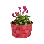 Vingo Sada 2 červených obalů s PVC vložkou - červený