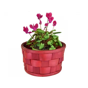 Květináč Vingo Sada 2 červených obalů s PVC vložkou - červený