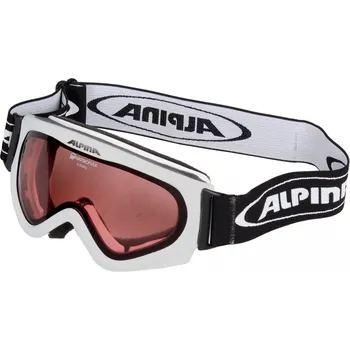 Zimní sport Alpina E-rotic lyžařské brýle