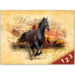 MFP Kůň 040 Desky na číslice 