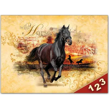 desky na sešit MFP Kůň 040 Desky na číslice 