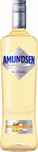 Amundsen Vodka Pineapple & Coco 15 % 1 l