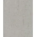 Vliesová tapeta imitace šedého betonu 475302 / Tapety na zeď Factory 2 (0,53 x 10,05 m) Rasch