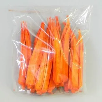 Zahradní dekorace Lusk sušina S/12 oranžová (6035H-220)