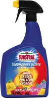 Substral Komplex okrasné rostliny 800 ml