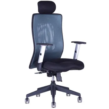 Office Pro Calypso XL SP4