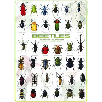 Puzzle Eurographics Brouci 1000 dílků