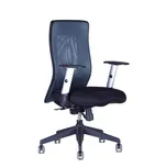 Office Pro Calypso XL BP