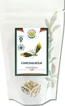 Salvia Paradise Canchalagua