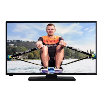 Televizor GoGEN 32" LED (TVH 32P260T)