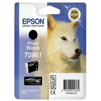 Originální Epson T0961 (C13T09614010)