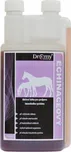 Dromy Echinaceový sirup 1 l