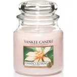 Yankee Candle Champaca Blossom