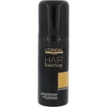 L'Oréal Professionnel Hair Touch Up 75…