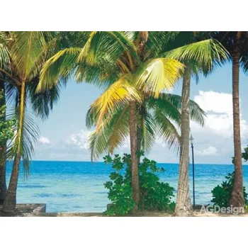 Fototapeta Fototapeta vliesová palmy 360 x 270cm AG Design FTN XXL 0384 1048