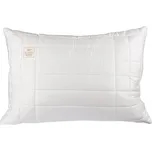 Every Ergovisco polštář zip+ Potah: Bavlna, Rozměr: 50 x 70 cm