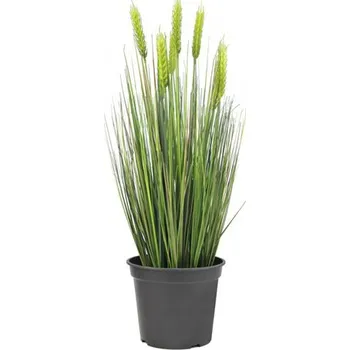 umělá květina EuroPalms Pšenice zelená v květináči 60 cm