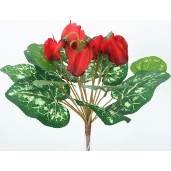 Brambořík , Barva červená DG 5580