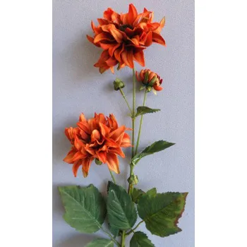 Jiřina , Barva oranžová 29-6309