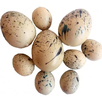 Velikonoční dekorace Vajíčka křepelčí 23506-7